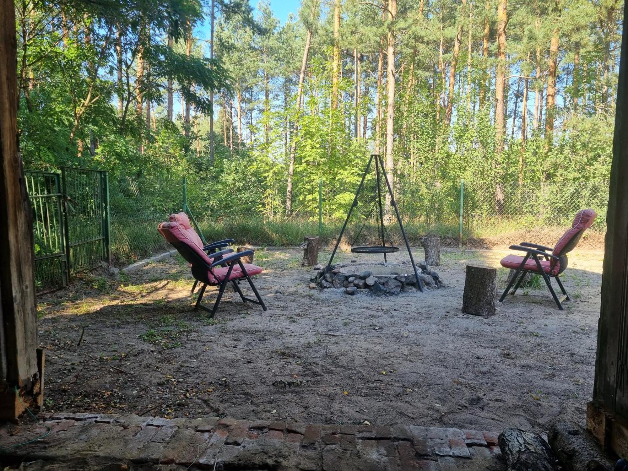 Klonowka
