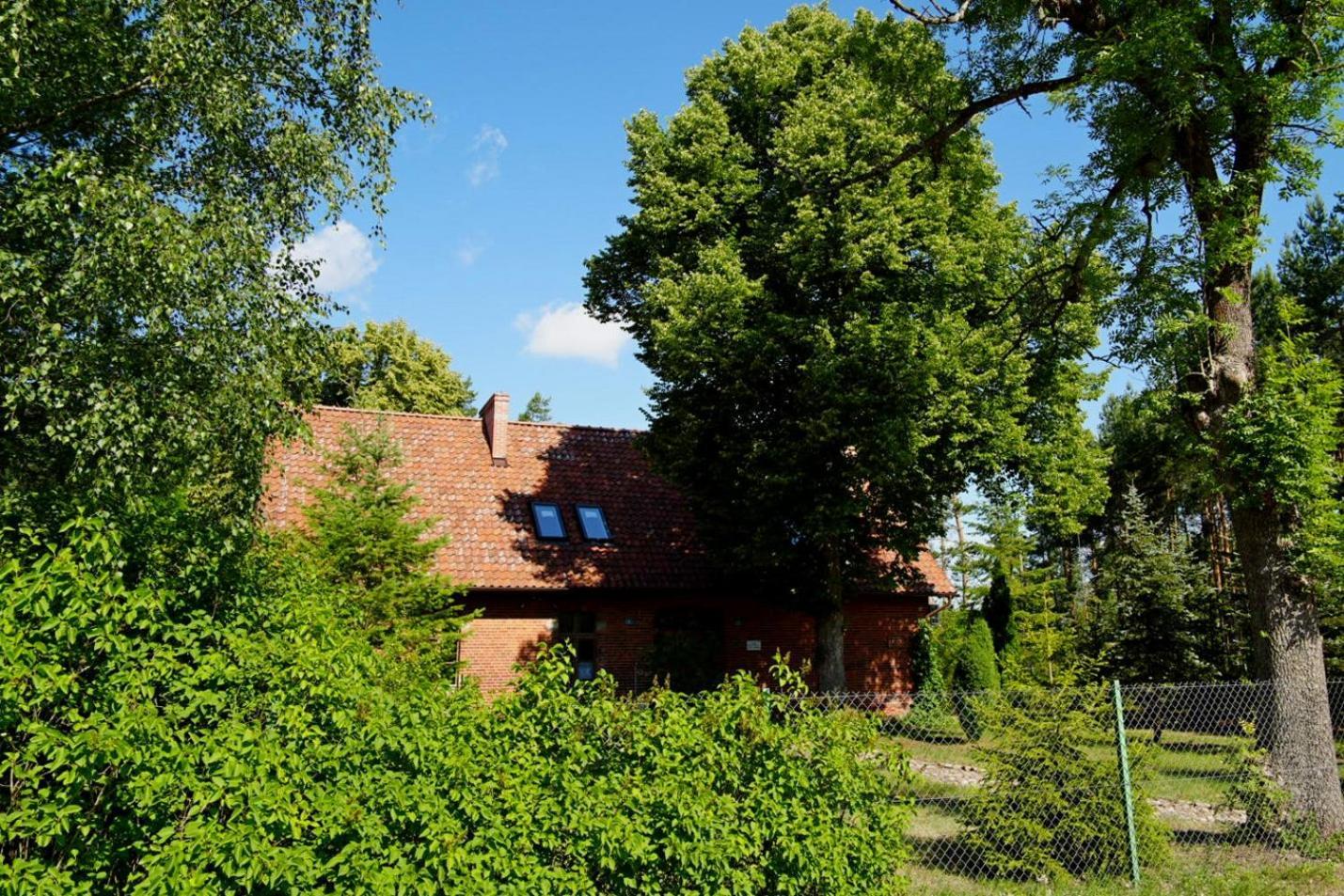 Klonowka Zawada (Chojnice)