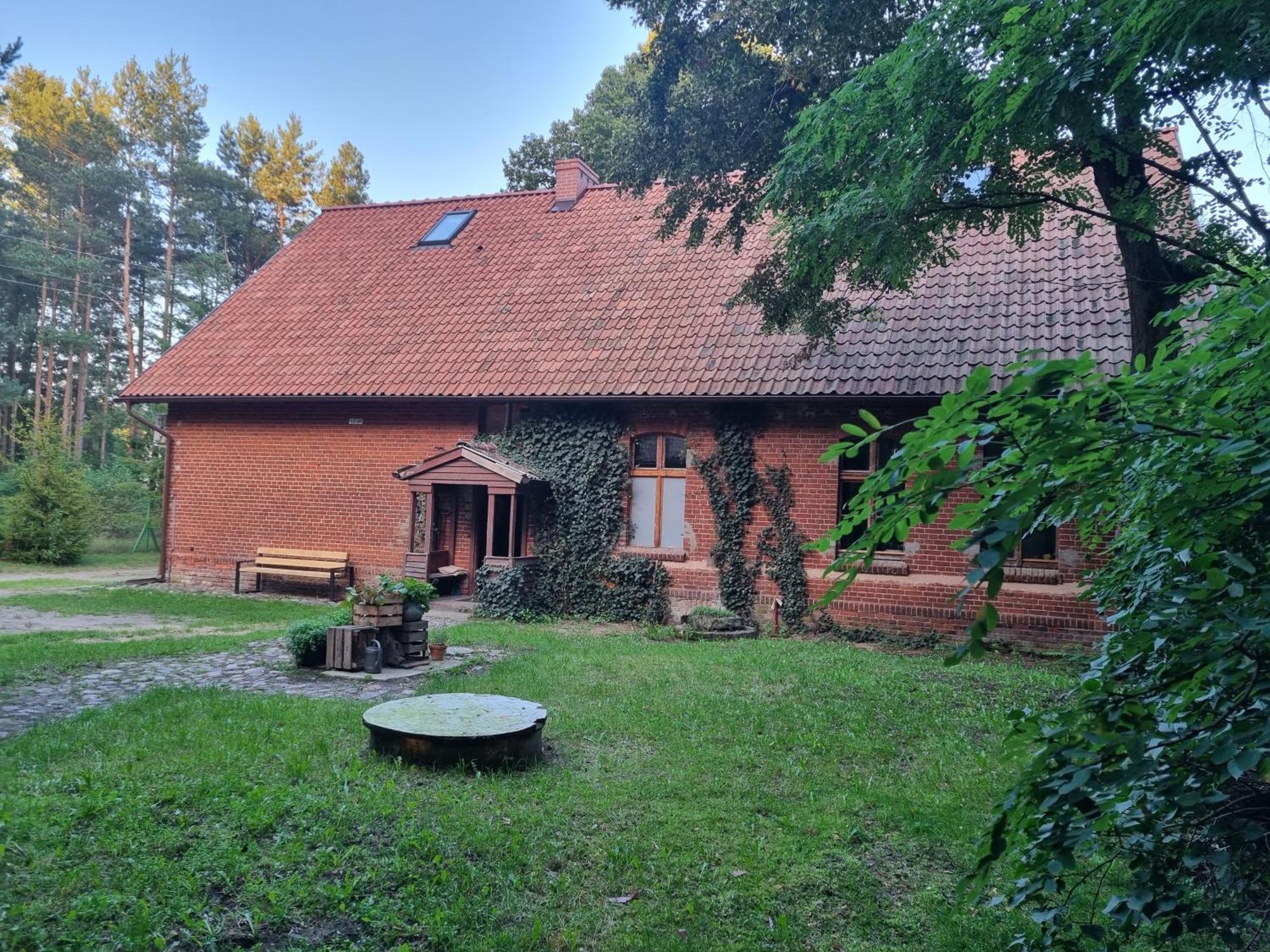 Klonowka *